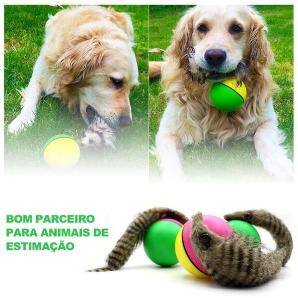 Bola de Doninha para Animais de Estimação - Loja Oficial | XploudShop