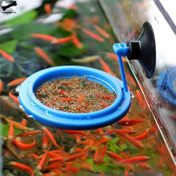 FishFeed Ring - Anel de Alimentação Flutuante para Aquário de Peixes - Loja Oficial | XploudShop