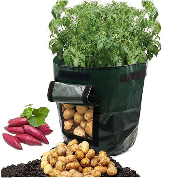 Saco Para Cultivo de Vegetais - Loja Oficial | XploudShop