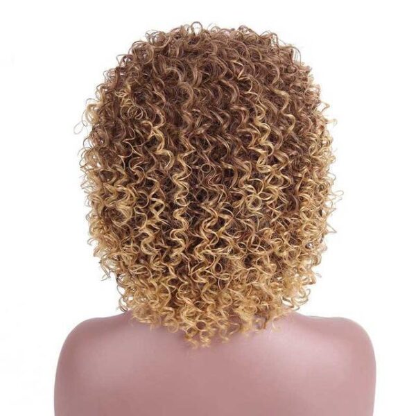 Front Lace Wig Fashion Cacheadas 35CM - Loja Oficial | XploudShop