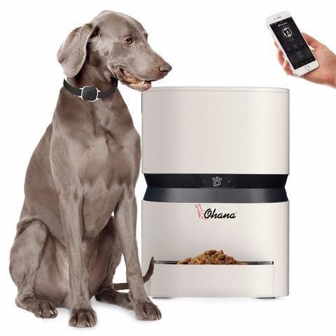 Smart Pet Comedouro Automatico Wifi Ohana - Loja Oficial | XploudShop